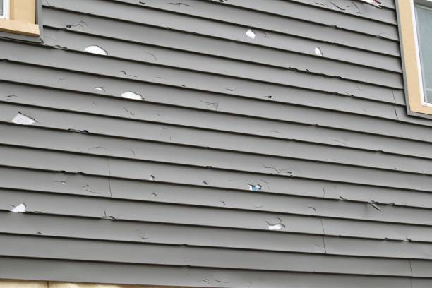 Best Custom Trim and Detailing for Siding  in Midway City, CA